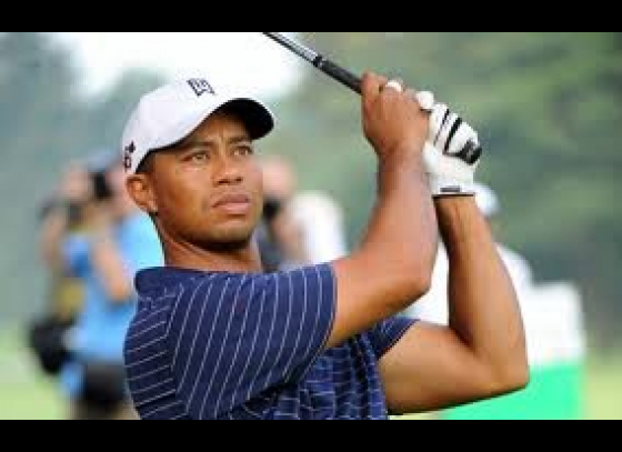 Tiger Woods at his best, but we want more !