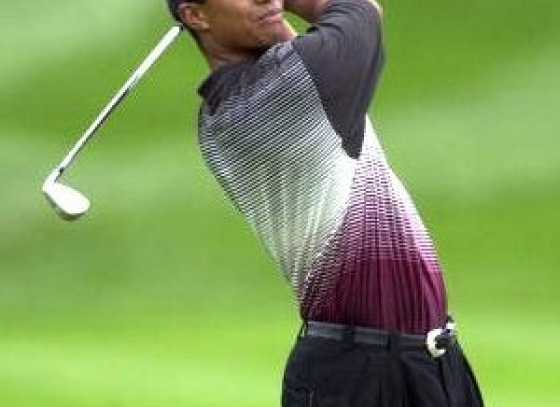 Tiger Woods occupied the world number one rank once again!