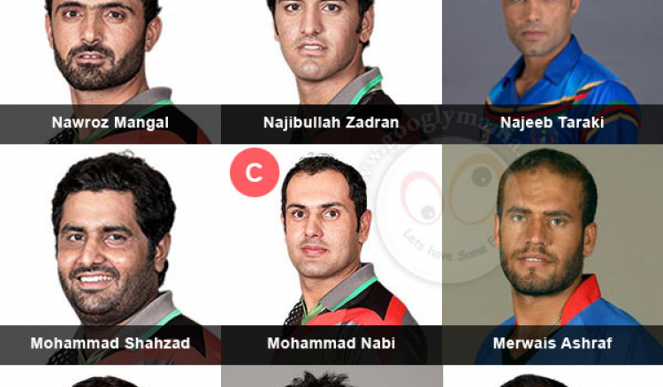 Afghanistan Final Team for T20 World Cup 2014