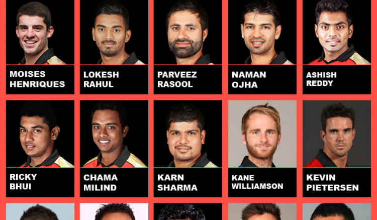 Team Sunrisers Hyderabad IPL 2015