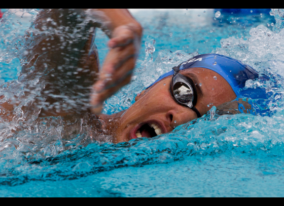 Brazilian swimmer killed in a hit-and-run accident