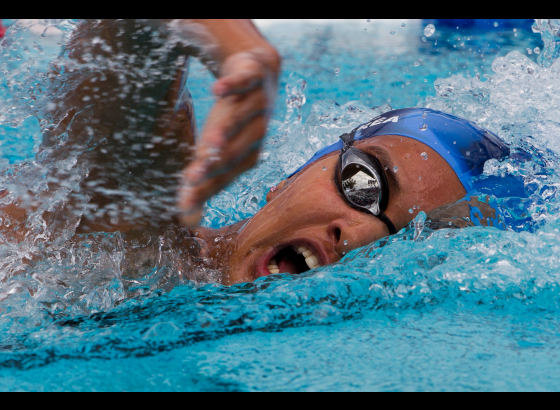 Brazilian swimmer killed in a hit-and-run accident