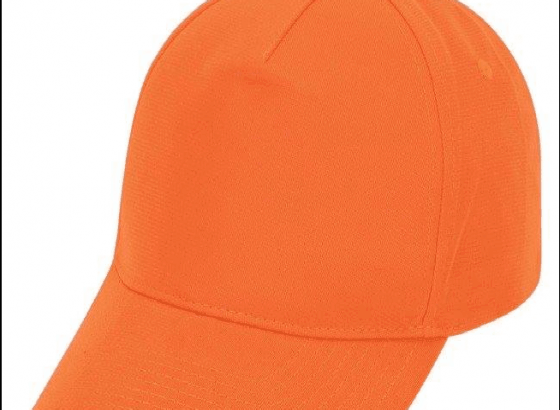 List of Orange Cap Winners: Who will win this time ?